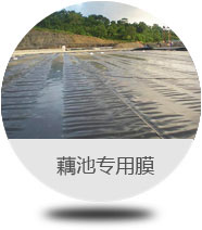 津仕